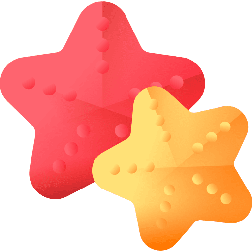 Starfish animals beach summer holidays icon