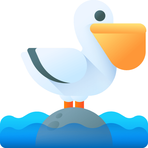 Pelican wild life animal zoo icon