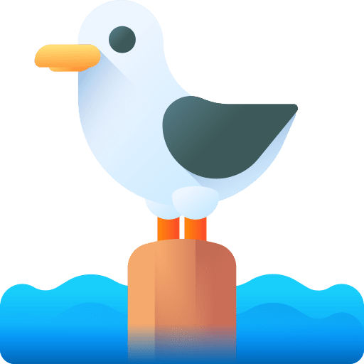 Seagull flight beak animals icon
