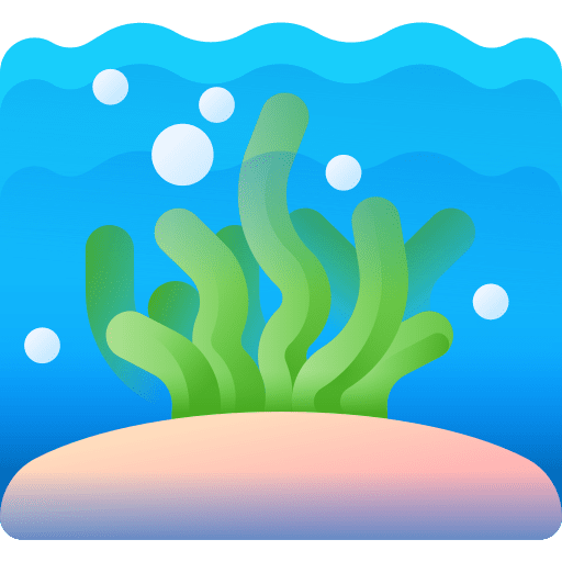 Seaweed sea life aquarium seaweed icon