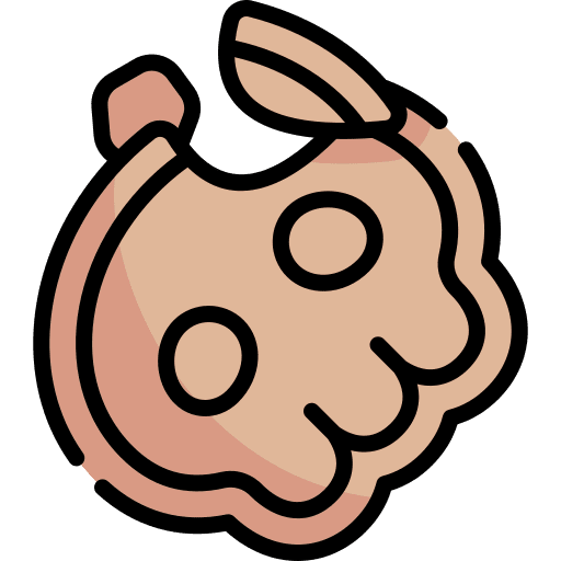 Cookie halloween cookie spooky icon