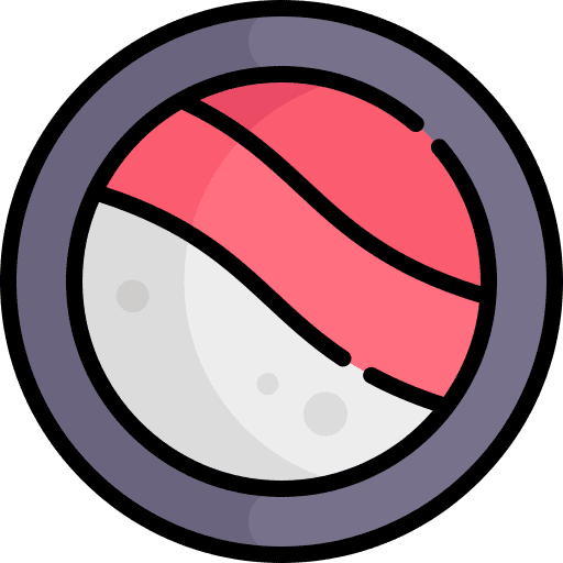 Sushi roll rice asian roll fish icon