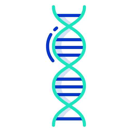 Dna structure dna dna structure icon