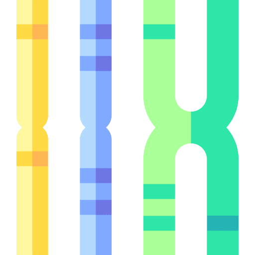 Chromosome x biology education icon