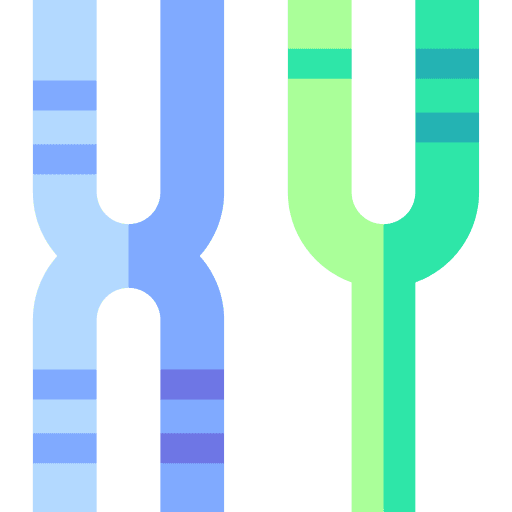 Chromosome education genetic x icon