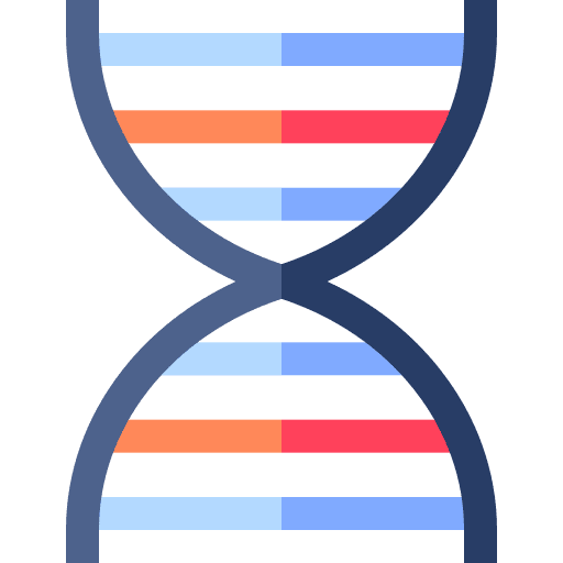 Dna genetical structure deoxyribonucleic acid icon