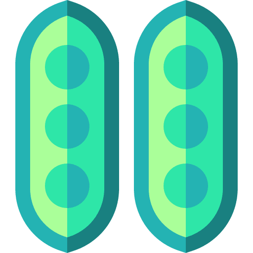Peas legume vegan diet icon