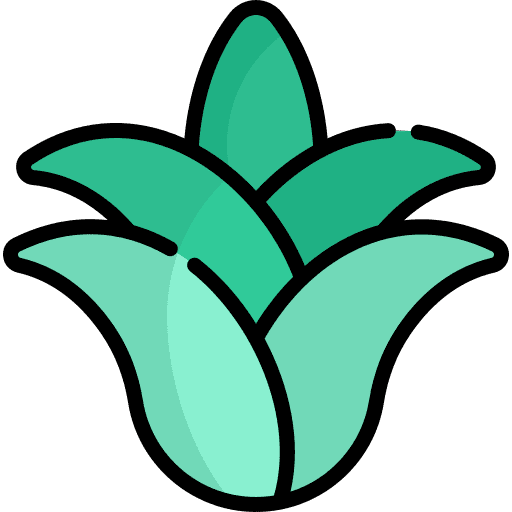 Agave mexican botanical nature icon