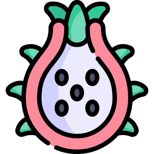 Dragon fruit healthy food vegetarian pitaya icon