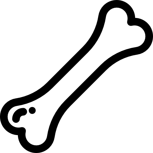 Bone body part medicine anatomy icon