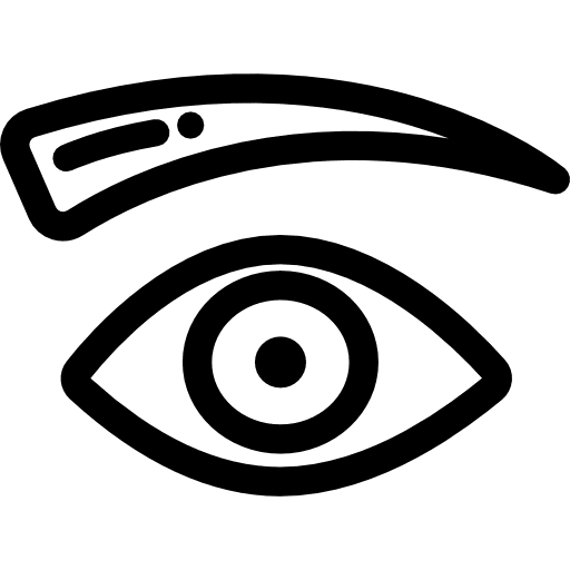 Eyebrow eye hair anatomy icon