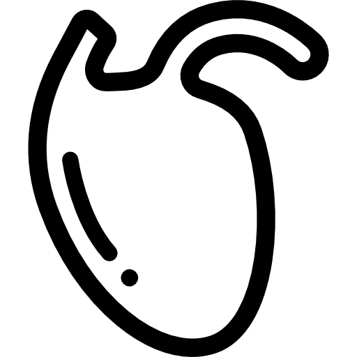Heart organ anatomy medicine icon