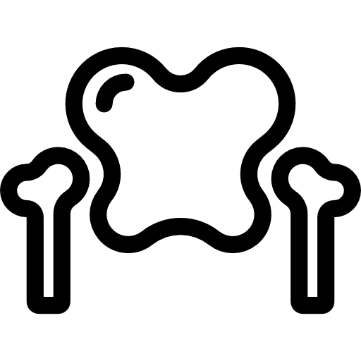 Pelvis anatomy bones body part icon