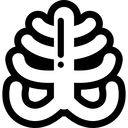 Ribs medicine bones medical icon