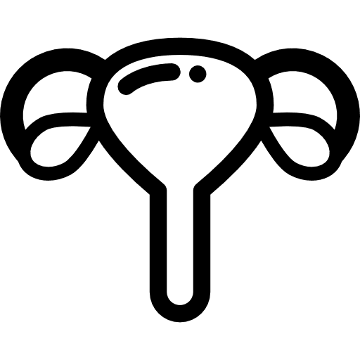 Uterus medical biology organ icon