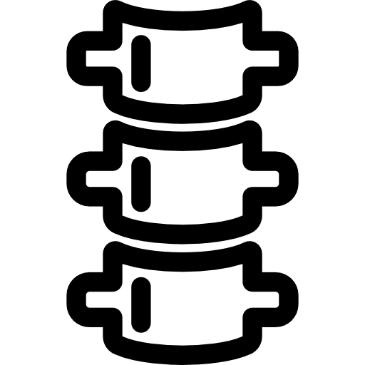 Spine biology body part medicine icon