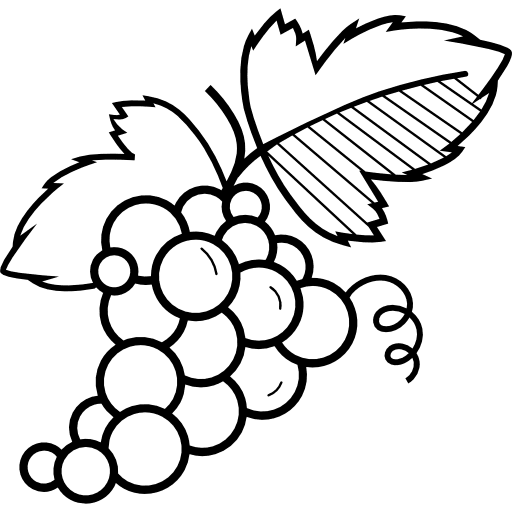 Grapes grapes organic vegetarian icon