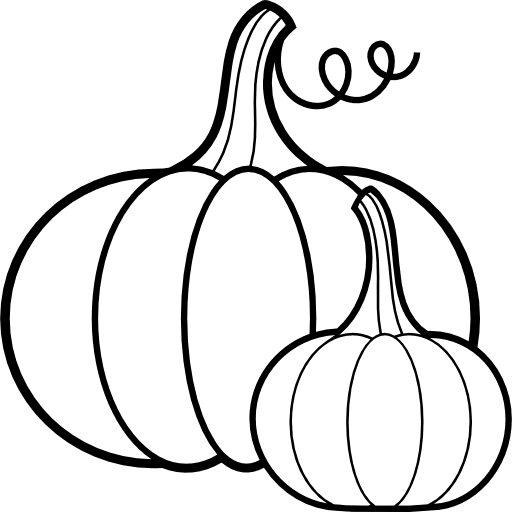 Pumpkin pumpkin food fruit icon