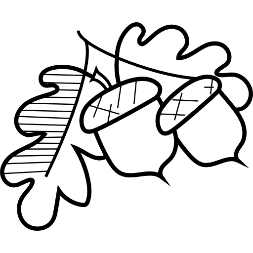 Acorn fruit vegetarian organic icon