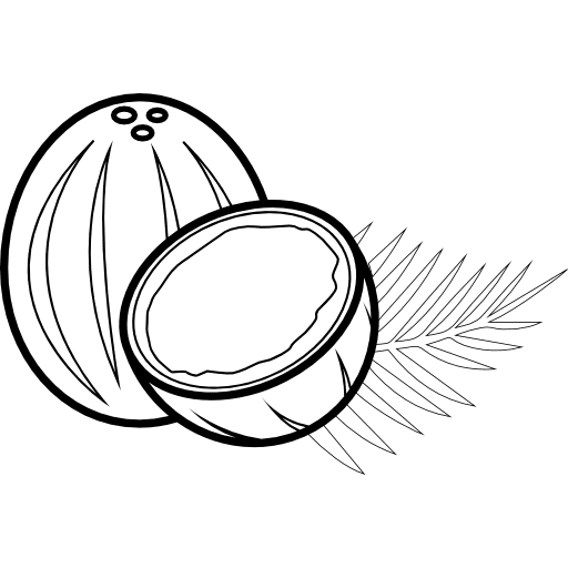 Coconut coconut organic fruit icon