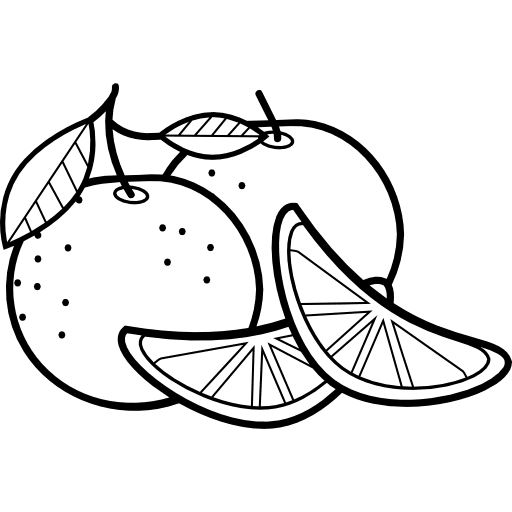 Orange vegan healthy food diet icon