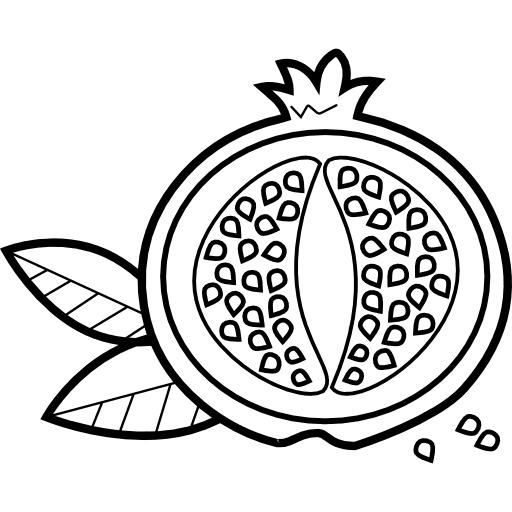 Pomegranate vegetarian healthy food diet icon