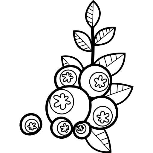 Blueberries vegan fruit vegetarian icon