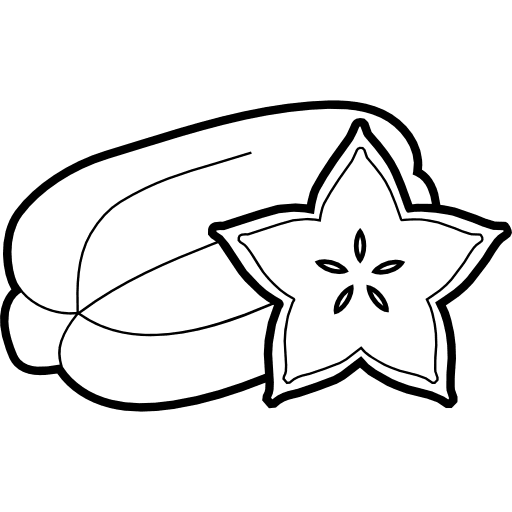 Carambola vegetarian food healthy food icon