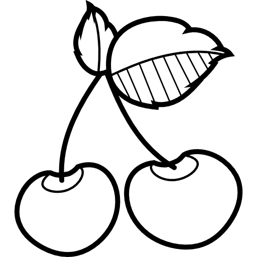 Cherry food organic diet icon