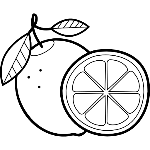 Lime healthy food food fruit icon