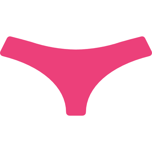 Underwear panties knickers underwear icon