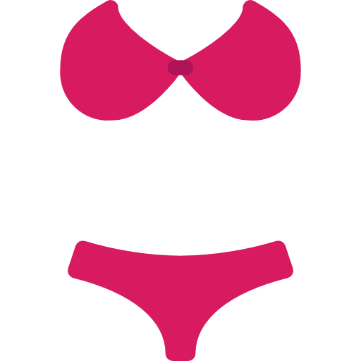 Bikini bikini clothing clothes icon