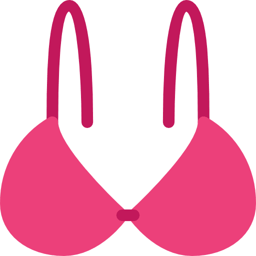 Bra bra miscellaneous brassiere icon