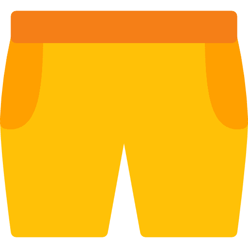 Shorts trousers fashion shorts icon