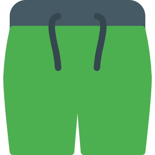 Swimsuit clothes beach swimsuit icon