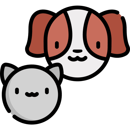 Pets cat animals dog icon