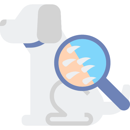 Dermathology loupe hair veterinary icon