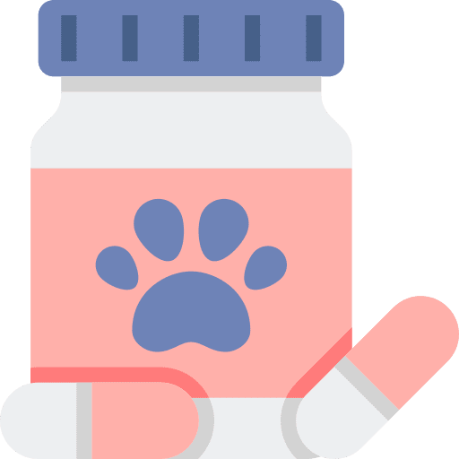 Pills bottle veterinary pet animals icon