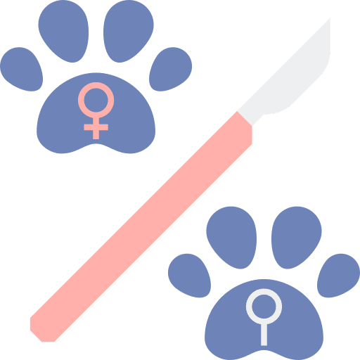 Sterilization sterilization cat healthcare and medical icon