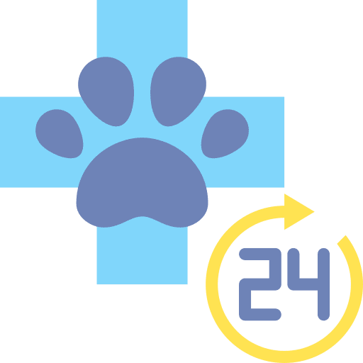 24 hours info care healthcare and medical icon