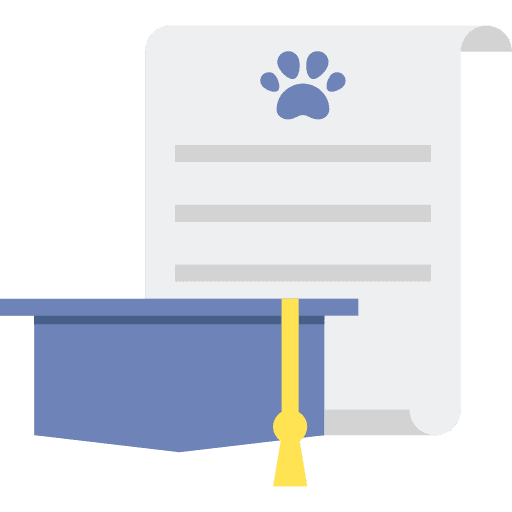 Certificate healthcare and medical report health icon