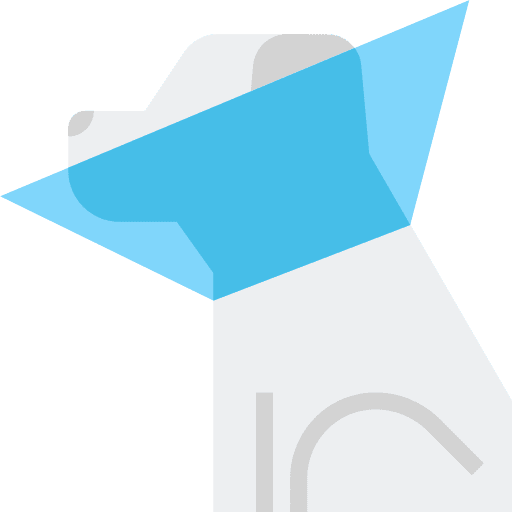 Cone of shame animals dog pet icon