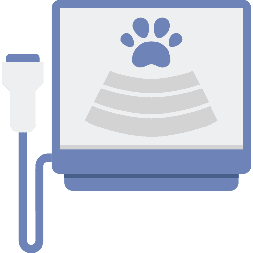 Ultrasound monitor electronics pregnancy icon