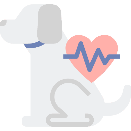 Veterinary heart medical assistance healthcare and medical icon