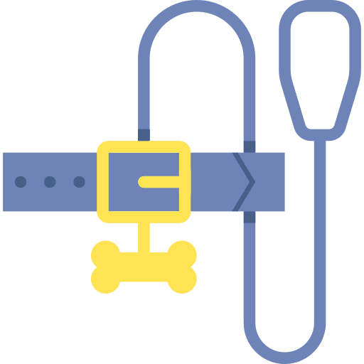 Collar accessories leash animals icon