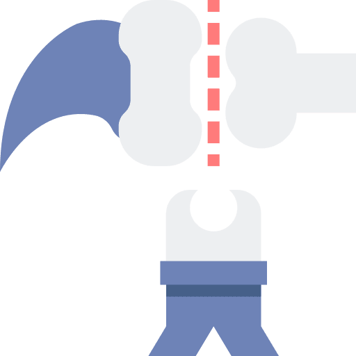 Pet skeleton cut animals icon