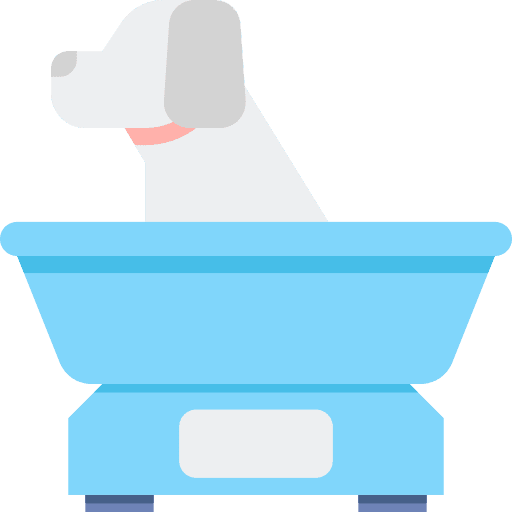 Scale dog animals weight icon