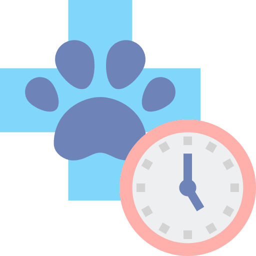 Schedule healthcare and medical cat time and date icon