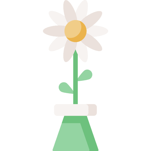 Daisy birthday and party blossom daisy icon