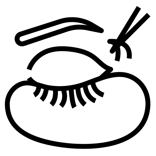 Lashes cosmetics eyelash curler lashes icon